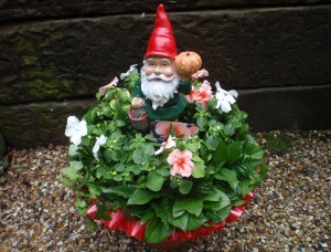 Garden Gnome With Busy Lizzie, Burgess Hill