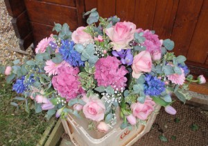 Hydrangea Double Ended, Burgess Hill